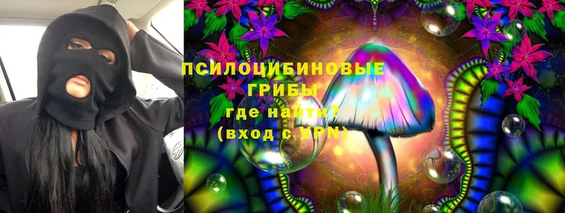 купить  цена  Изобильный  Псилоцибиновые грибы Magic Shrooms 